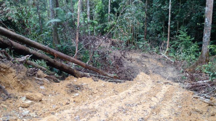 Kadis DLHK dan Pakar Dukung Laporan Perambahan Bukit Tabandang